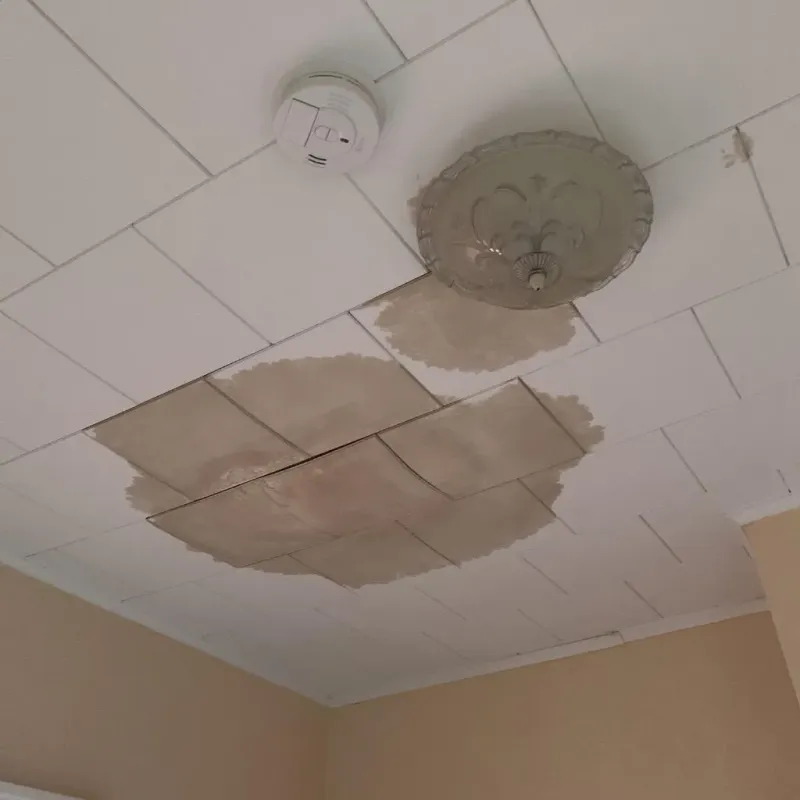 Ceiling Water Damage Repair in Bowman, ND