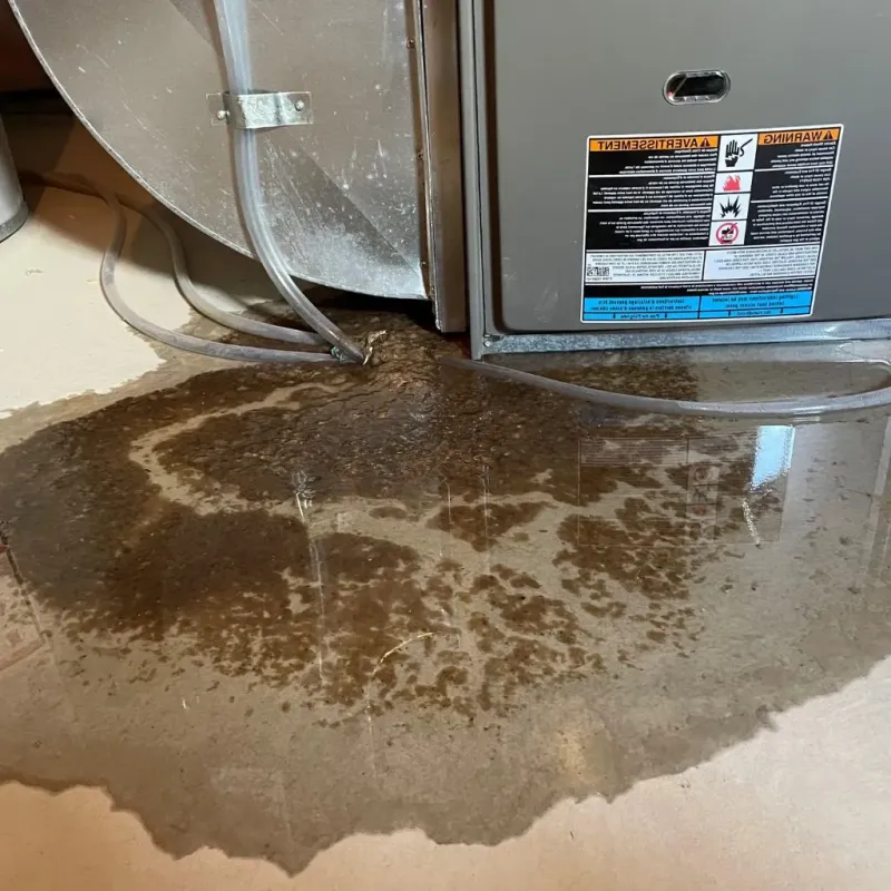 Pipe Burst and Leak Restoration in Bowman, ND