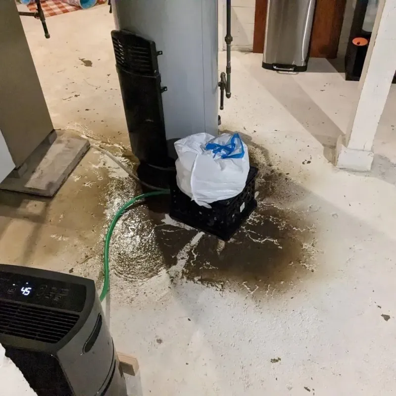 Sewage Backup Cleanup Service in Bowman, ND